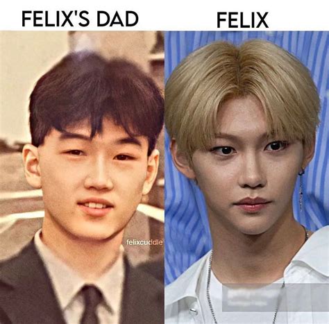 lee felix mom and dad.